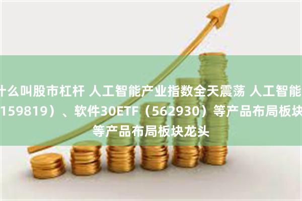 什么叫股市杠杆 人工智能产业指数全天震荡 人工智能ETF（159819）、软件30ETF（562930）等产品布局板块龙头