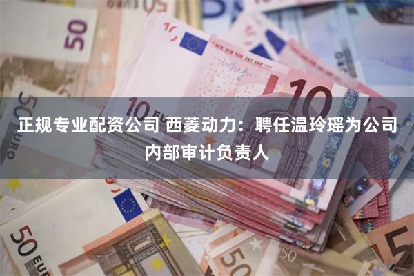 正规专业配资公司 西菱动力：聘任温玲瑶为公司内部审计负责人