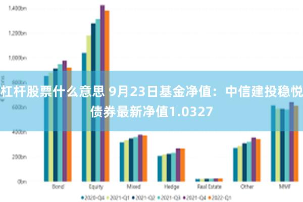 杠杆股票什么意思 9月23日基金净值：中信建投稳悦债券最新净值1.0327