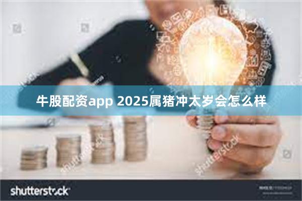 牛股配资app 2025属猪冲太岁会怎么样