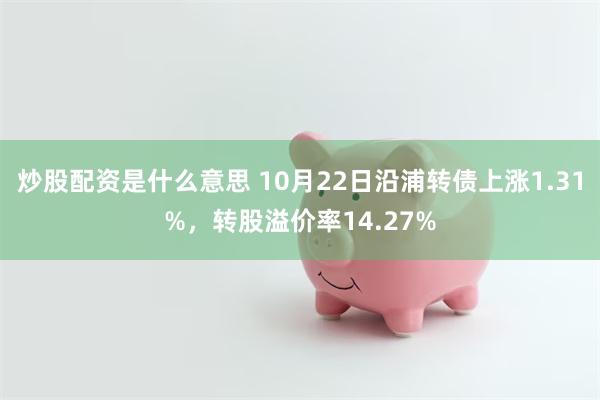 炒股配资是什么意思 10月22日沿浦转债上涨1.31%，转股溢价率14.27%