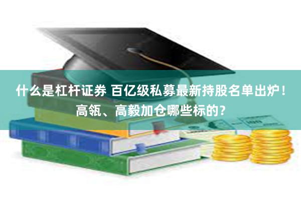 什么是杠杆证券 百亿级私募最新持股名单出炉！高瓴、高毅加仓哪些标的？