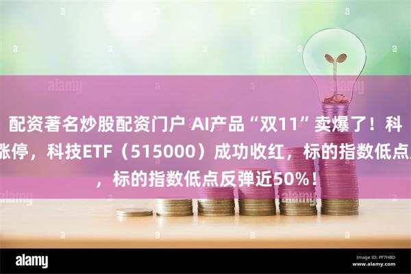 配资著名炒股配资门户 AI产品“双11”卖爆了！科大讯飞尾盘涨停，科技ETF（515000）成功收红，标的指数低点反弹近50%！