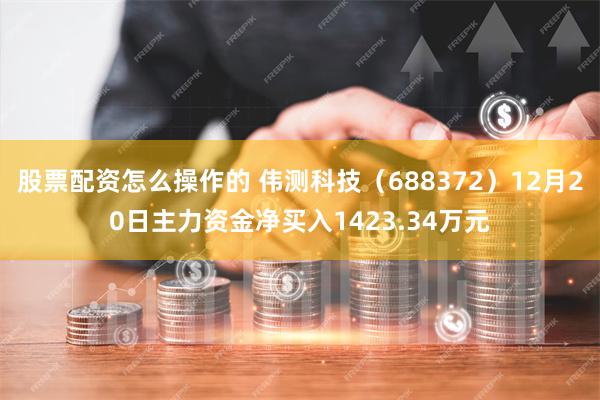 股票配资怎么操作的 伟测科技（688372）12月20日主力资金净买入1423.34万元