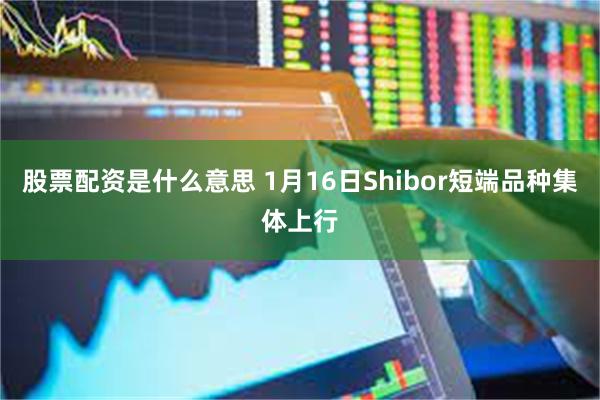 股票配资是什么意思 1月16日Shibor短端品种集体上行