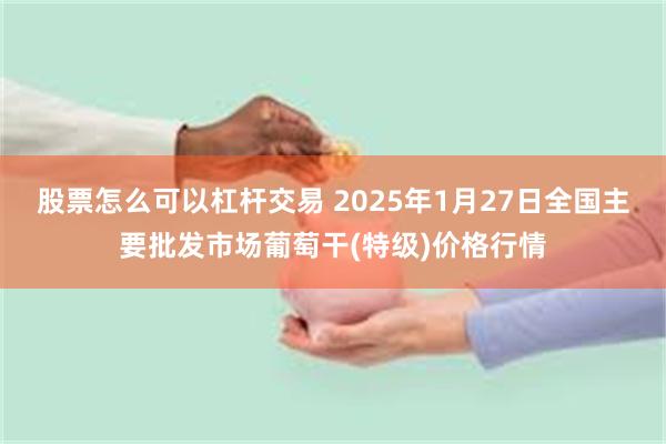 股票怎么可以杠杆交易 2025年1月27日全国主要批发市场葡萄干(特级)价格行情