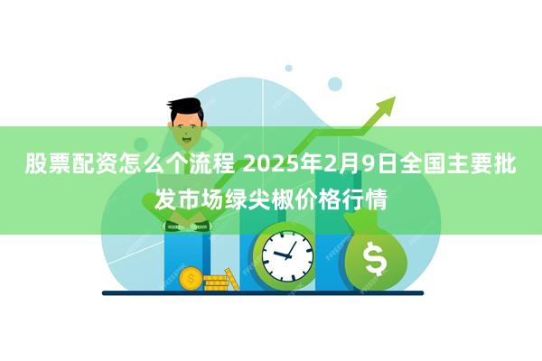 股票配资怎么个流程 2025年2月9日全国主要批发市场绿尖椒价格行情