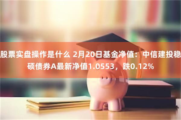 股票实盘操作是什么 2月20日基金净值：中信建投稳硕债券A最新净值1.0553，跌0.12%