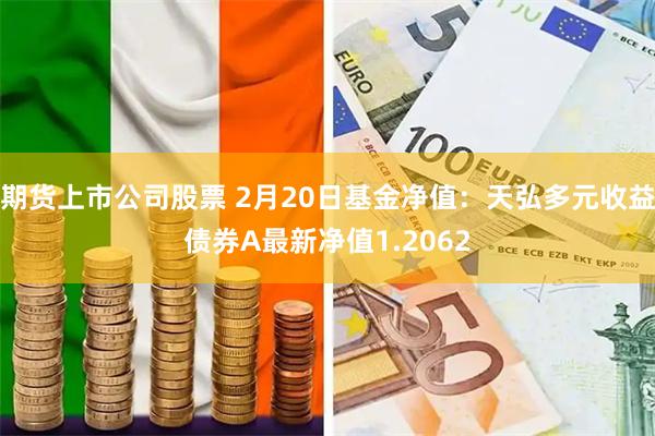 期货上市公司股票 2月20日基金净值：天弘多元收益债券A最新净值1.2062